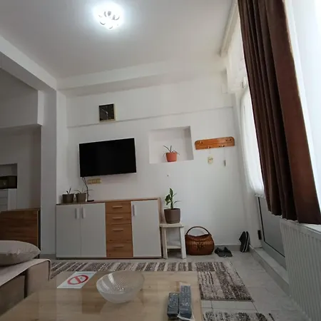 Apartament Planic